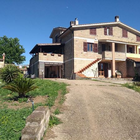 La Tana Di Stefano Hotel Anguillara Sabazia Luaran gambar